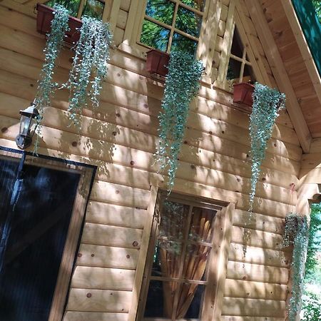Brvnara Fairy Tale Villa Cetinje Kültér fotó