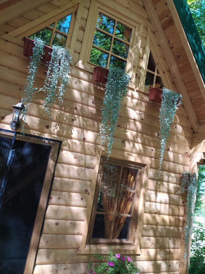 Brvnara Fairy Tale Villa Cetinje Kültér fotó
