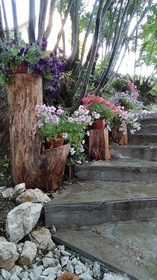 Brvnara Fairy Tale Villa Cetinje Kültér fotó
