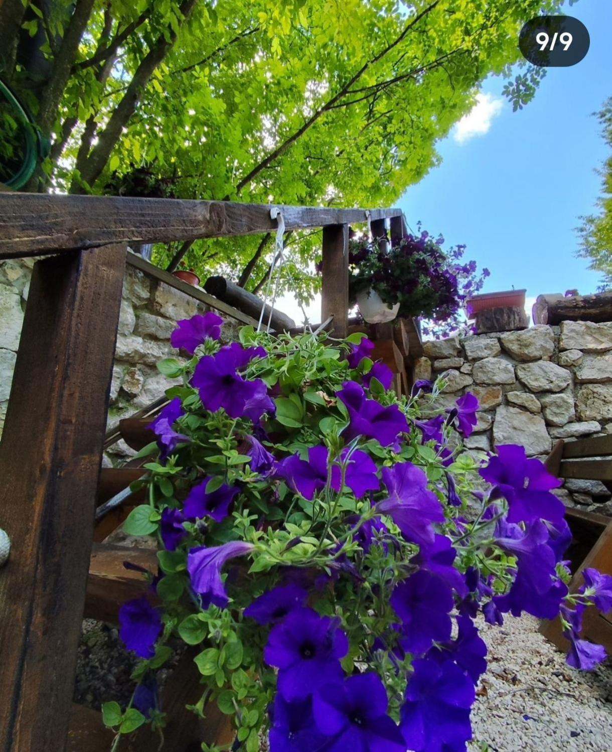 Brvnara Fairy Tale Villa Cetinje Kültér fotó